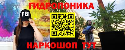 крисы Краснокаменск