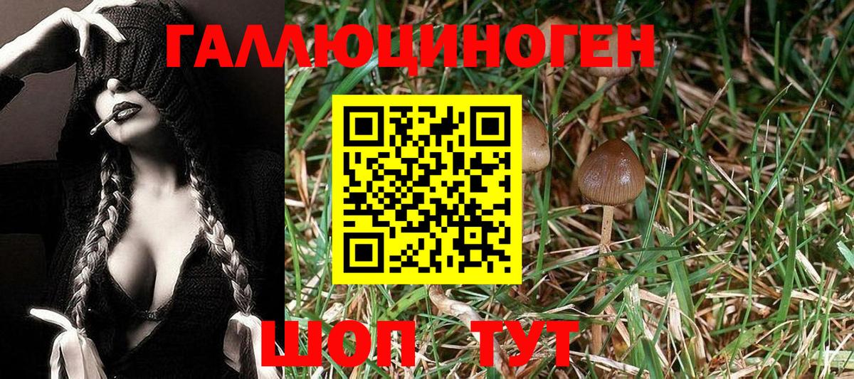 Кирово-Чепецк  Псилоцибиновые грибы мицелий  Псилоцибиновые грибы мицелий  Вход с VPN 