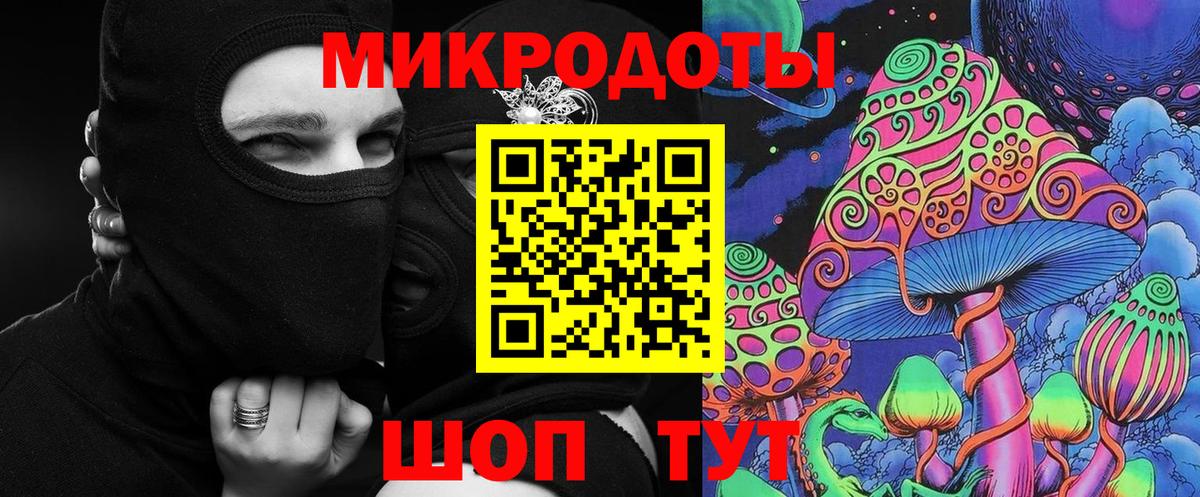 Галлюциногенные грибы Psilocybe Кирово-Чепецк